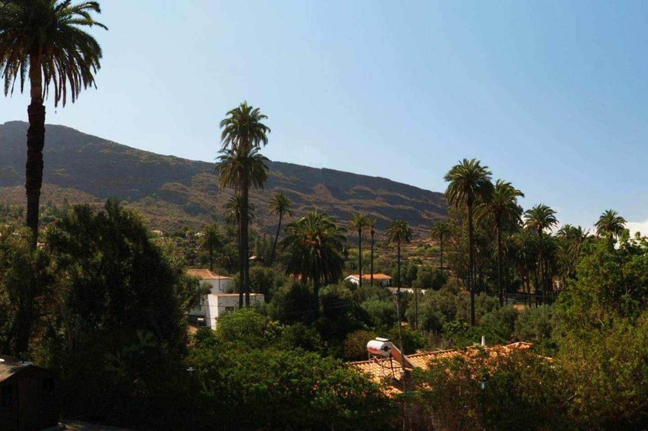 El Olivar La Almazara Santa Lucia De Tirajana